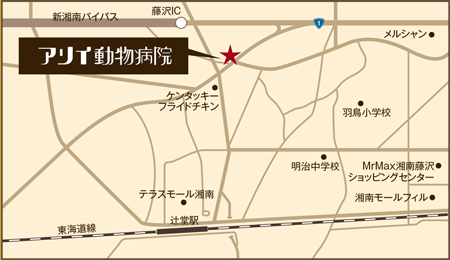 アリイ動物病院地図