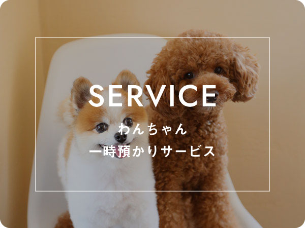 ワンちゃん一時預かりサービス