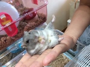 IMG_0538