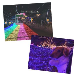 IMG_3558