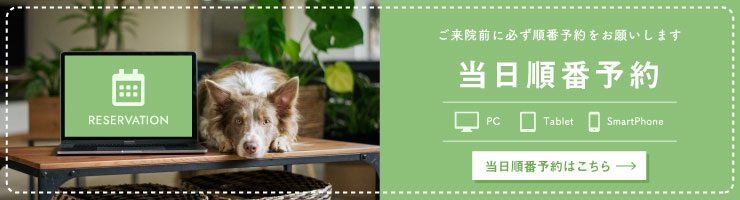 当日順番予約はこちら