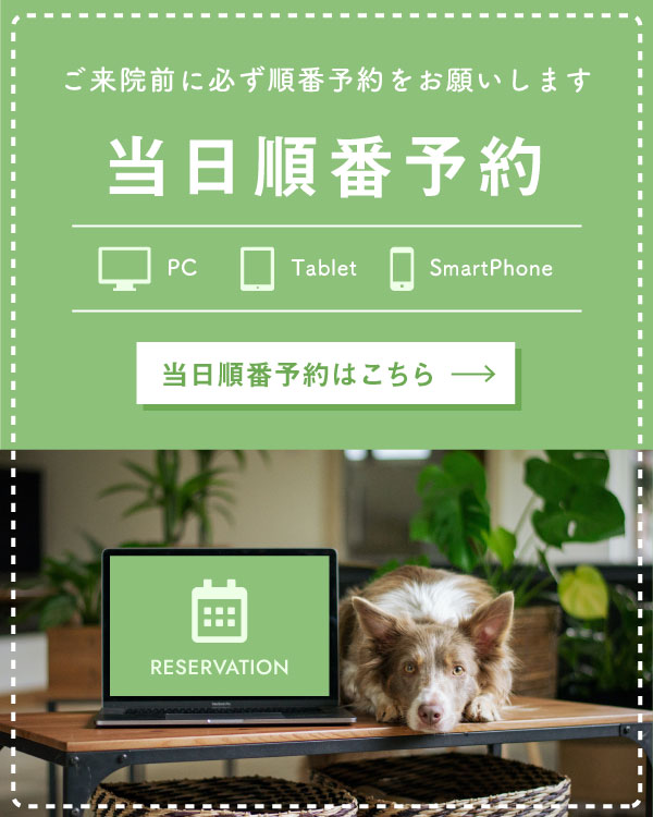 当日順番予約はこちら
