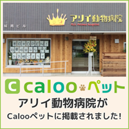カルーペット