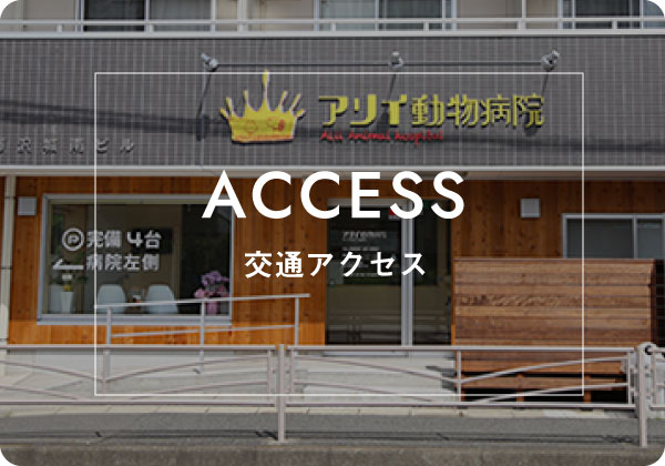 ACCESS 交通アクセス