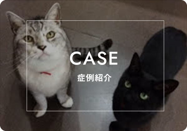 CASE 症例紹介